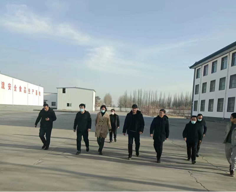 石嘴山市副市長(zhǎng)、惠農(nóng)區(qū)委書記王宇翔蒞臨寧夏興康恒潤(rùn)農(nóng)業(yè)科技發(fā)展有限公司調(diào)研