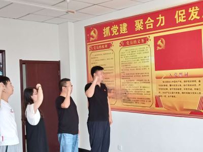 寧夏岳氏開(kāi)展“不忘初心，牢記使命”主題黨日活動(dòng)